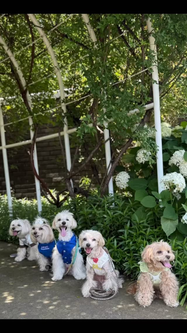 DOGDEPT GARDEN 港の見える丘公園店