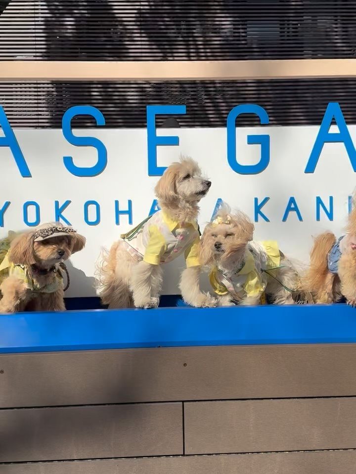 サラベス BASEGATE横浜関内店