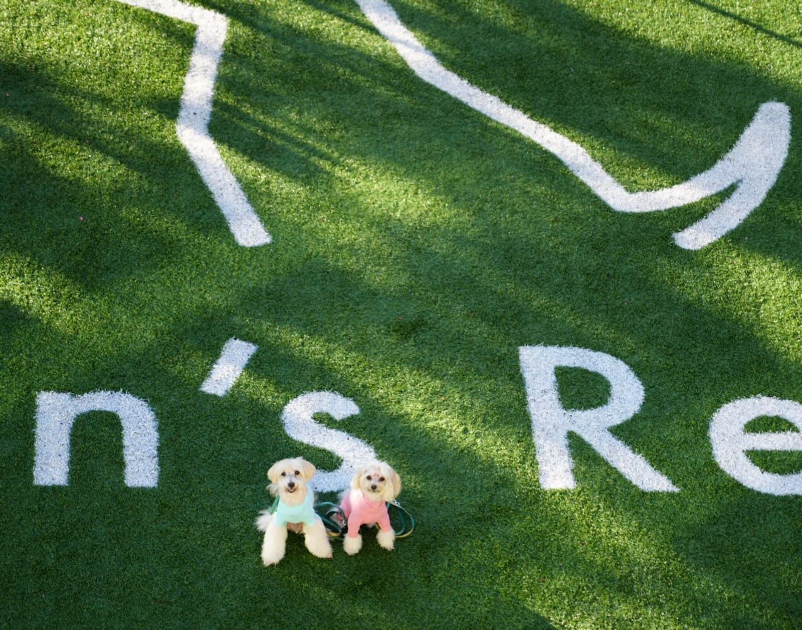 🌻ポット＆レモンのちょっと遅い夏休み🌻