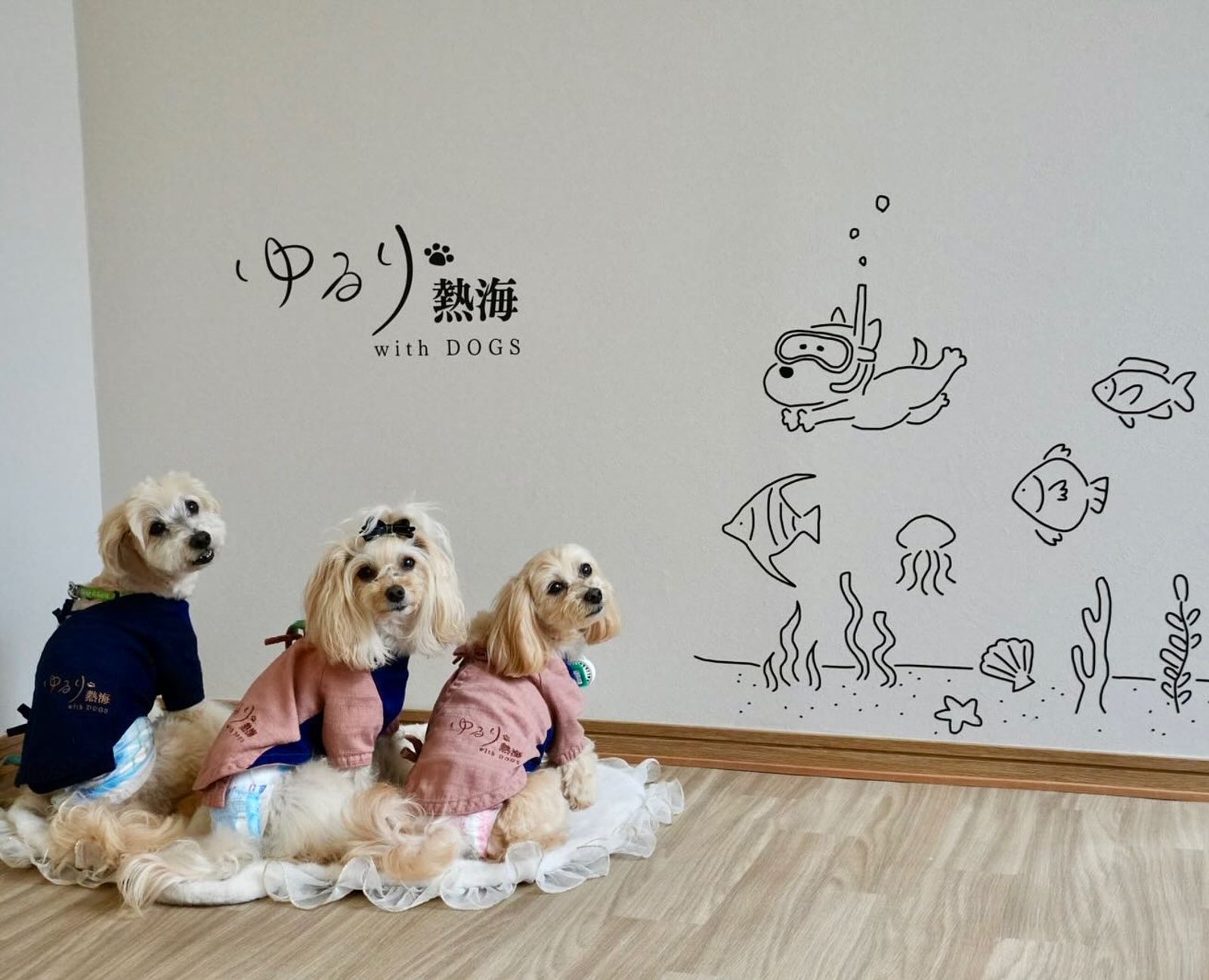 6月11日のポット＆レモン